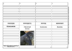 Faltbuch-Steckbrief-Gorilla-1.pdf